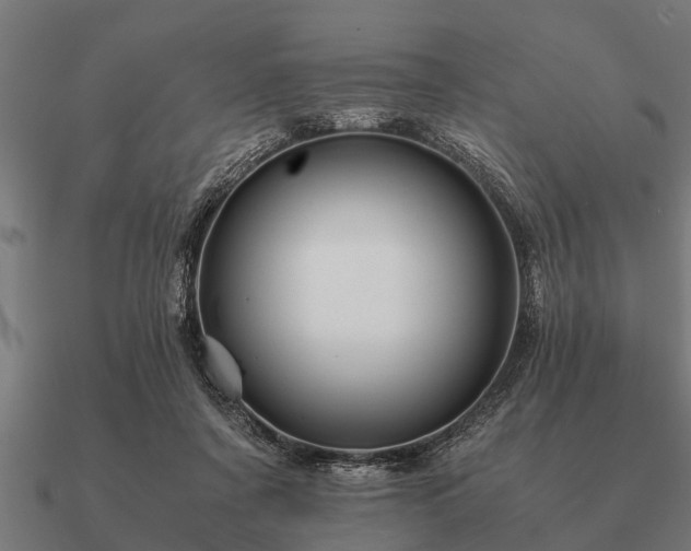 X0000090900311200708061509