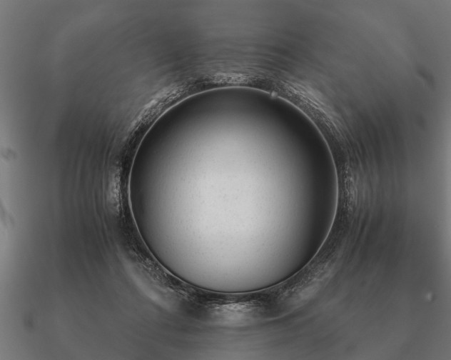 X0000090900312200708061509