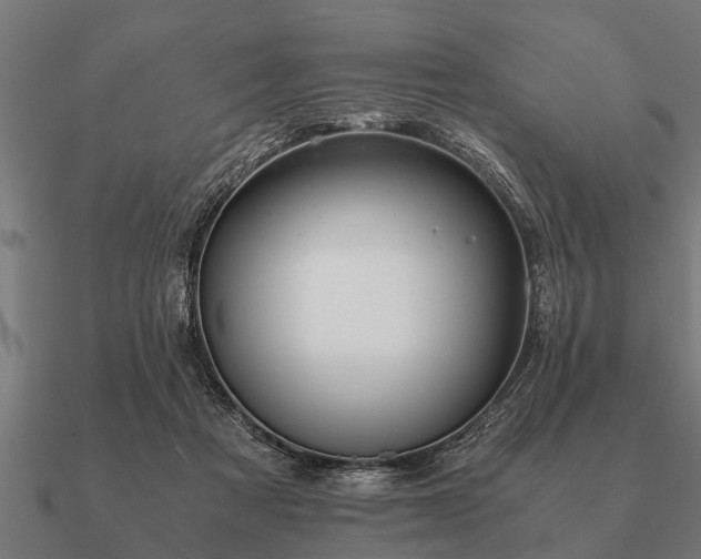 X0000090900313200708061509