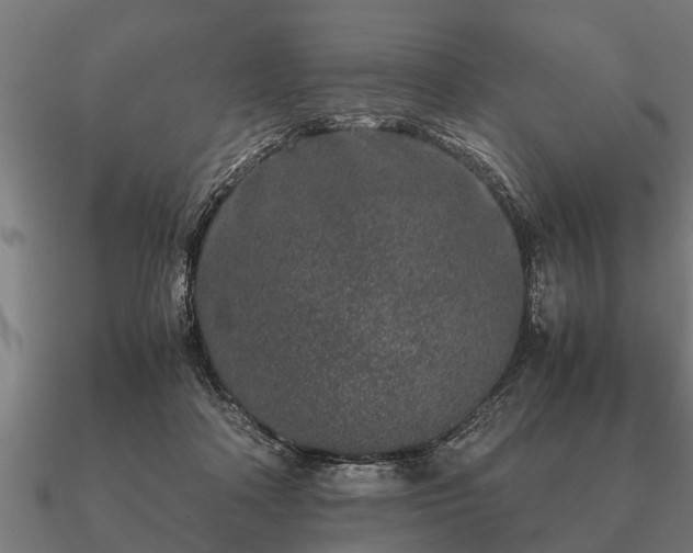 X0000090900314200708061509