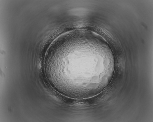 X0000090900315200708061509