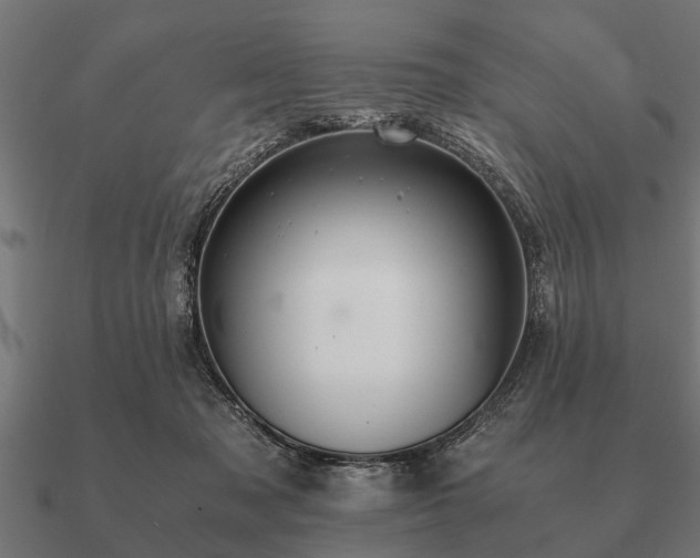 X0000090900317200708061509