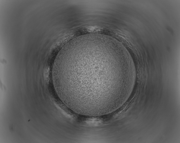 X0000090900319200708061509