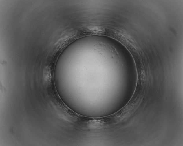 X0000090900320200708061509