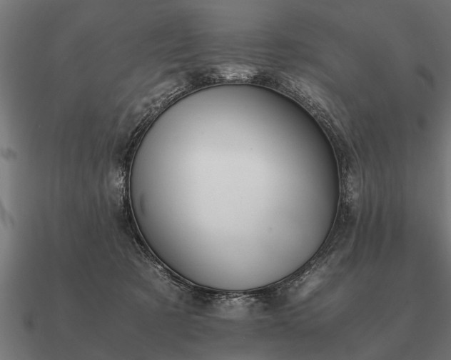 X0000090900321200708061509