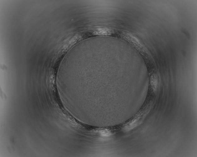 X0000090900322200708061509