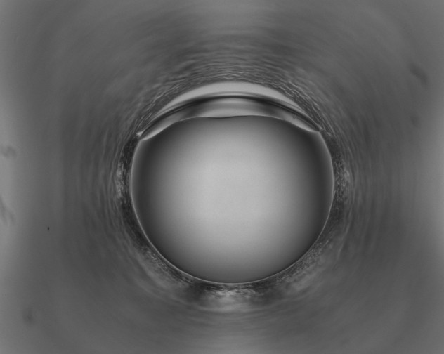 X0000090900323200708061509