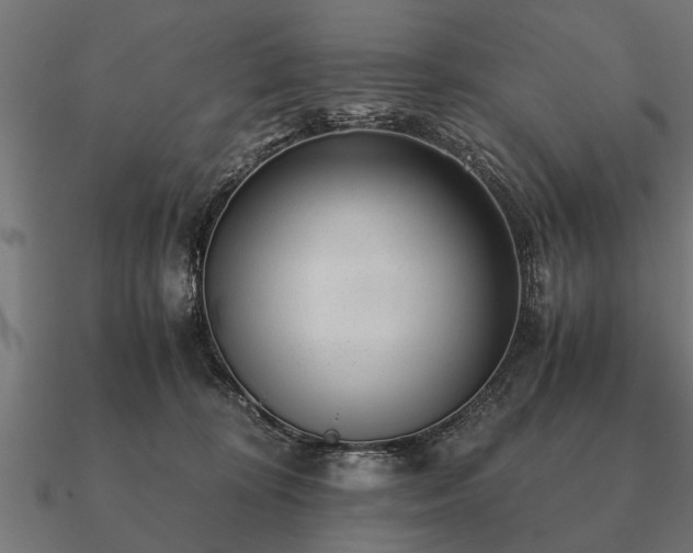 X0000090900324200708061508