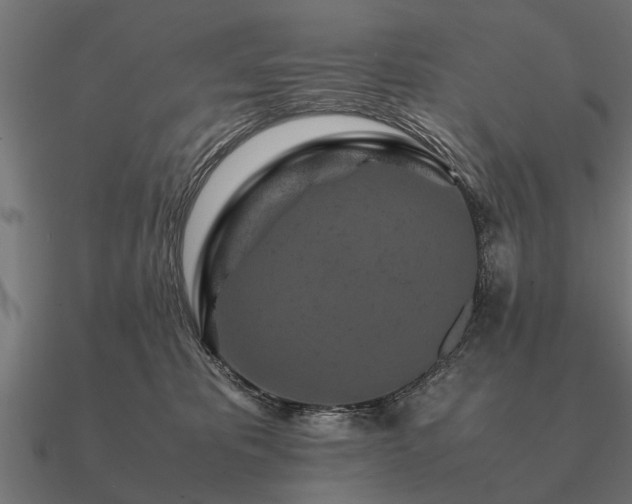 X0000090900325200708061508