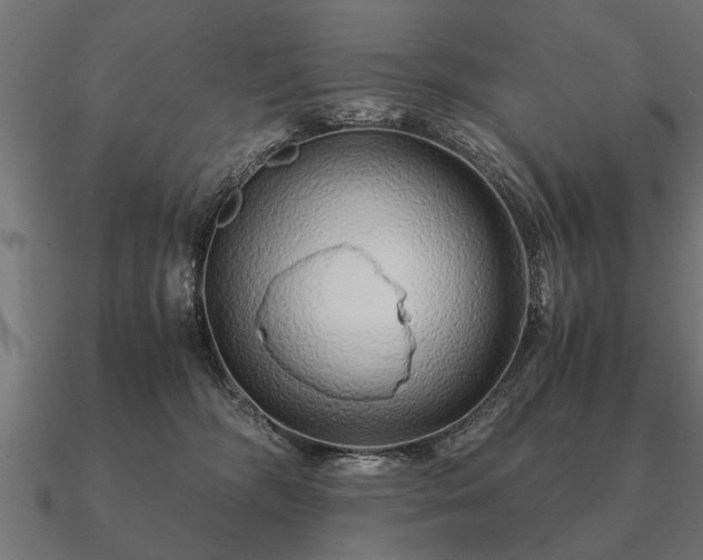 X0000090900326200708061508