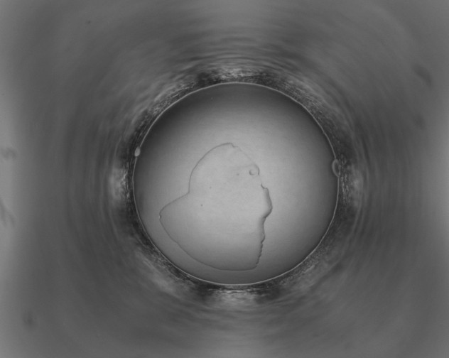 X0000090900327200708061508