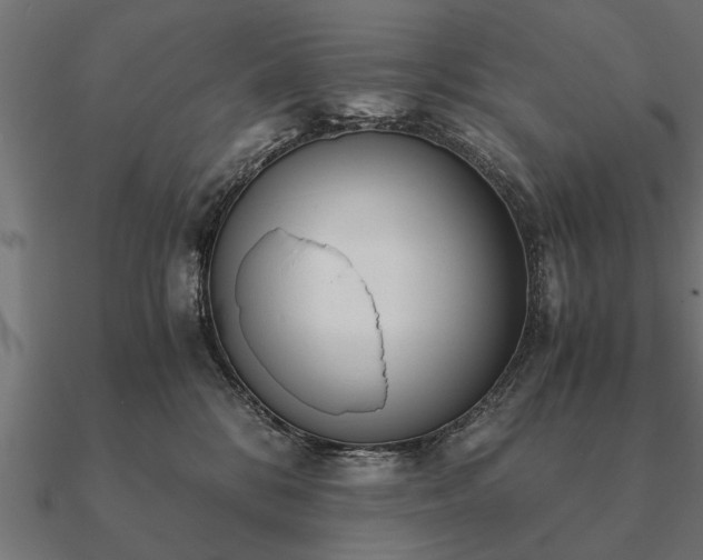 X0000090900328200708061508