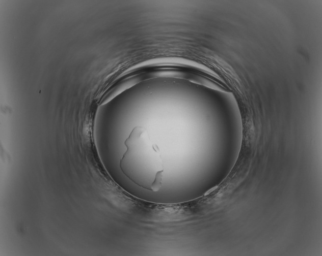 X0000090900329200708061508