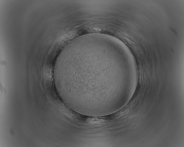 X0000090900331200708061508