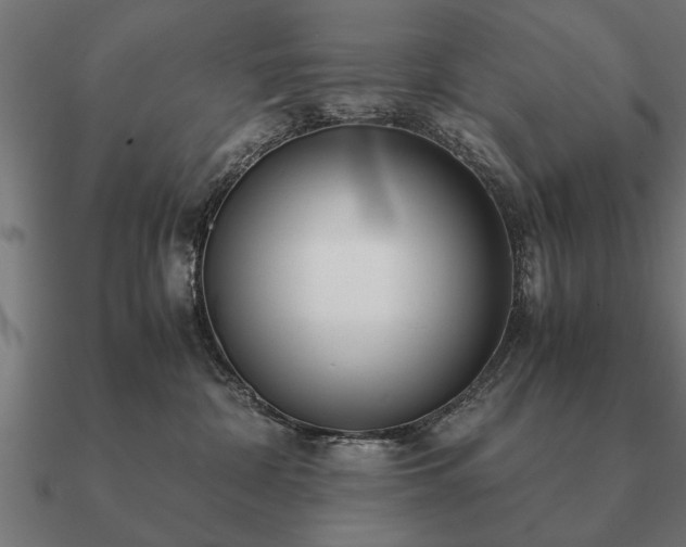 X0000090900332200708061508