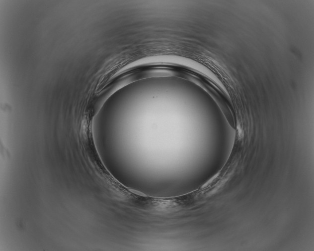 X0000090900333200708061508