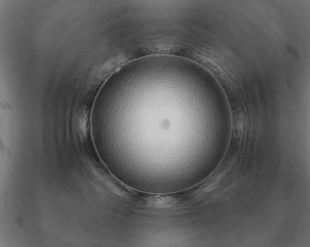 X0000090900334200708061508