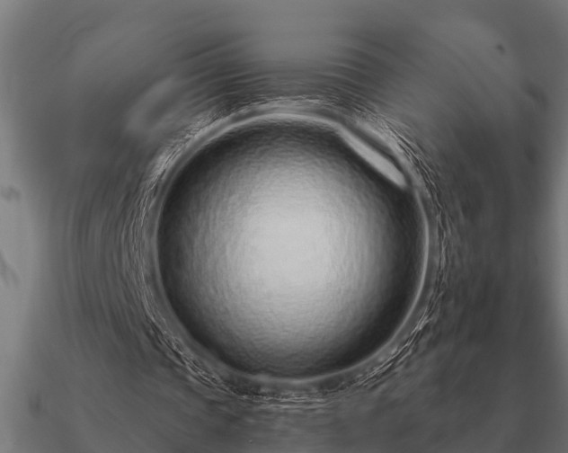 X0000090900337200708061508