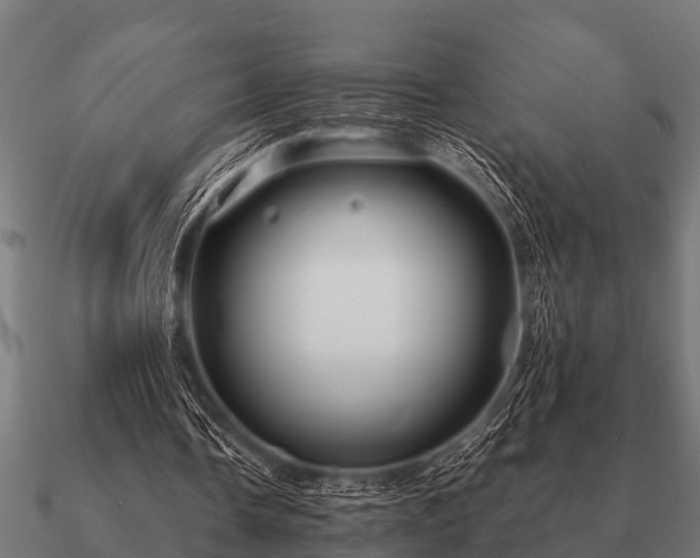 X0000090900338200708061508