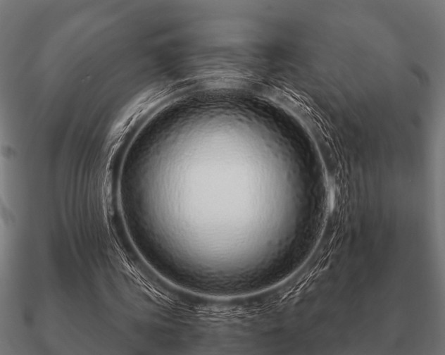 X0000090900339200708061508