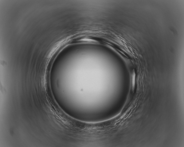 X0000090900340200708061508