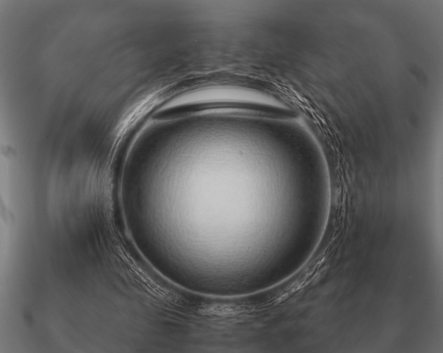 X0000090900341200708061508