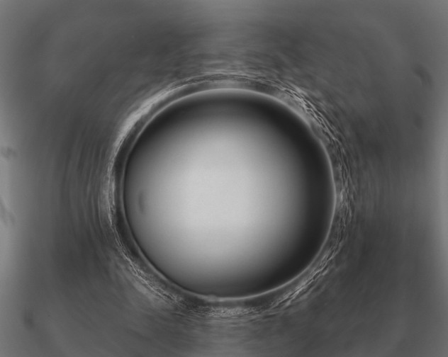 X0000090900342200708061508