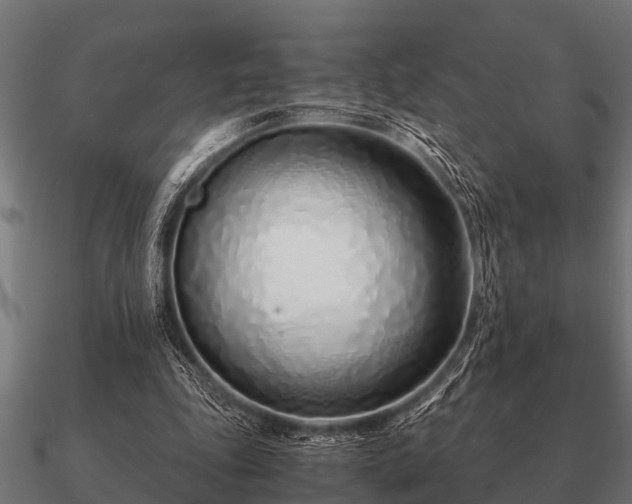 X0000090900343200708061508