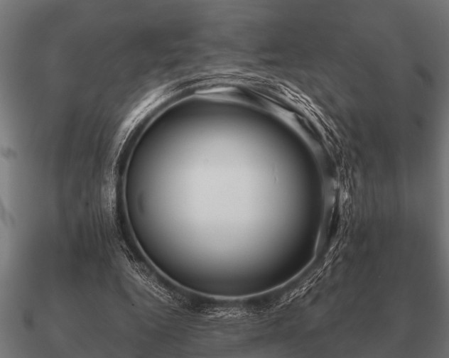 X0000090900344200708061508