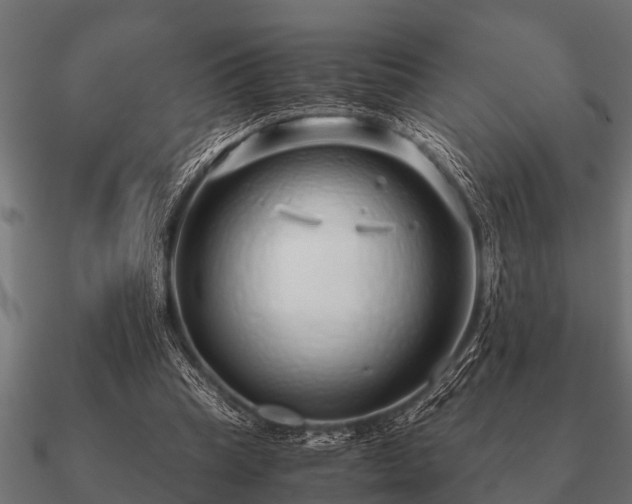 X0000090900345200708061508