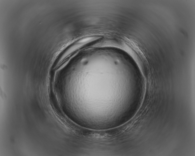 X0000090900346200708061508