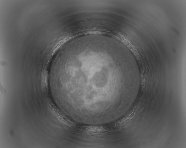 X0000090900347200708061508