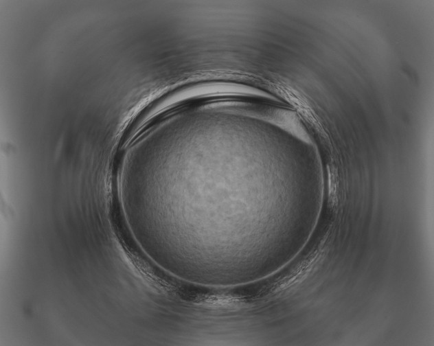 X0000090900348200708061508