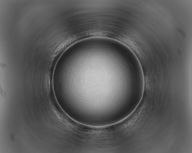 X0000090900349200708061508