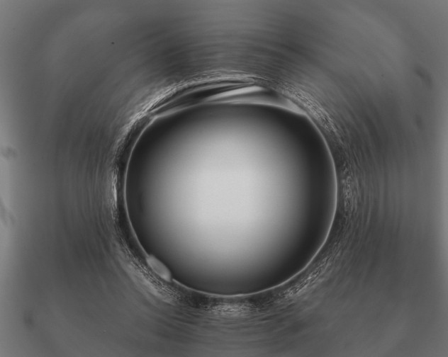 X0000090900350200708061508