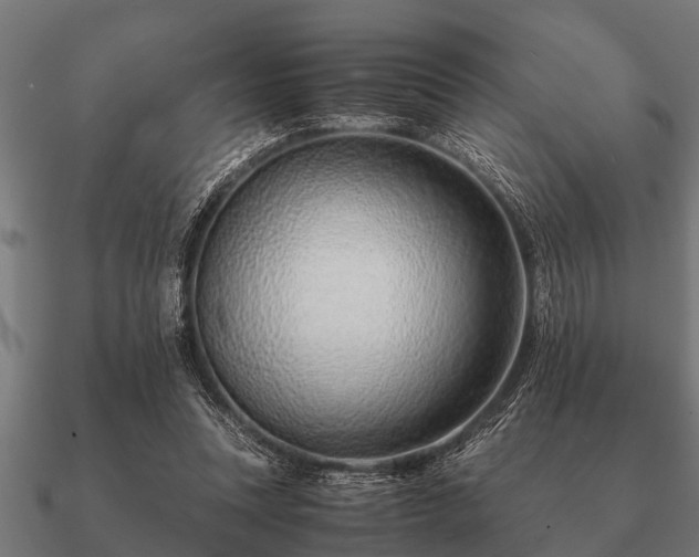 X0000090900351200708061508