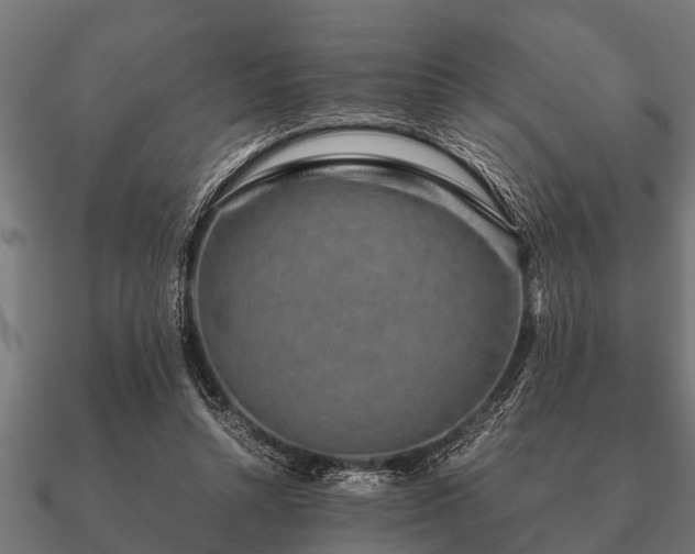 X0000090900352200708061508