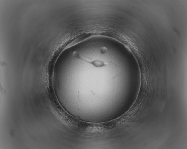 X0000090900354200708061508