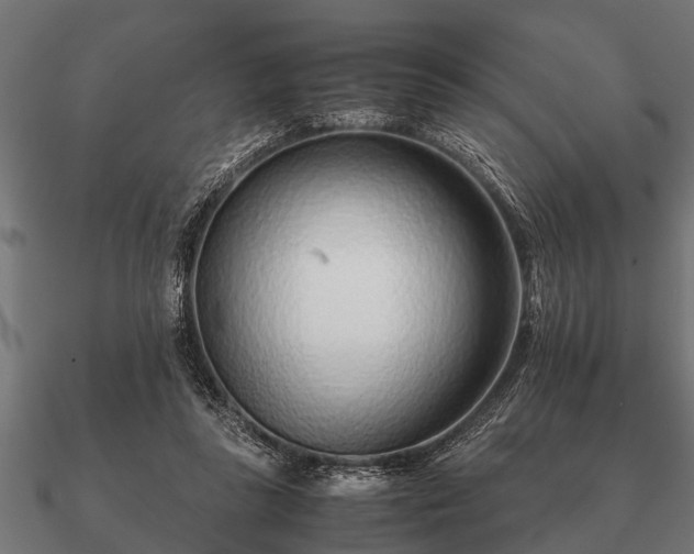 X0000090900355200708061508