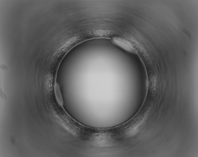 X0000090900356200708061508