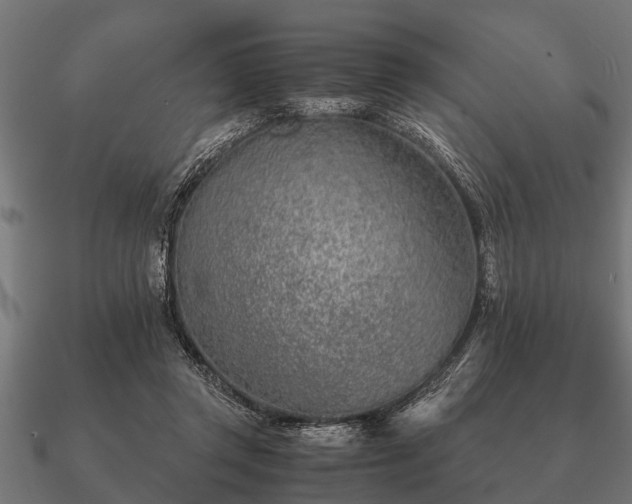 X0000090900357200708061508