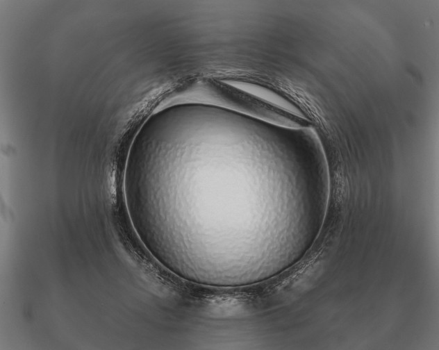 X0000090900358200708061508