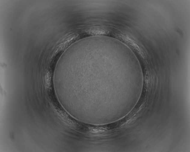 X0000090900359200708061508