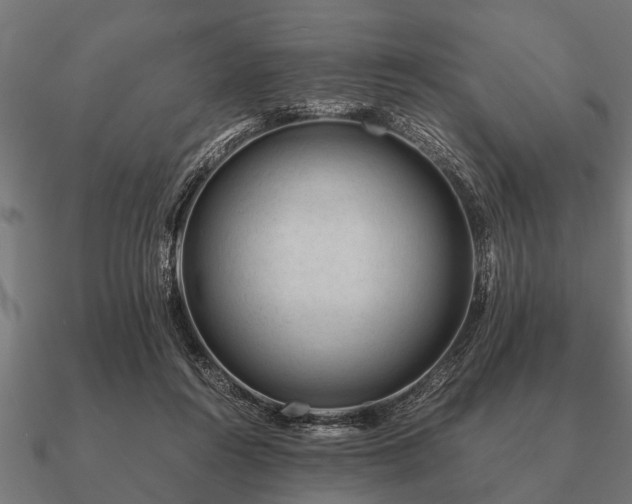 X0000090900360200708061508