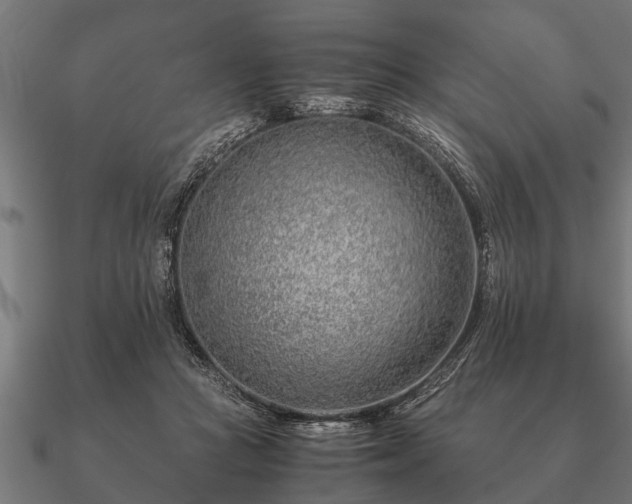 X0000090900361200708061508