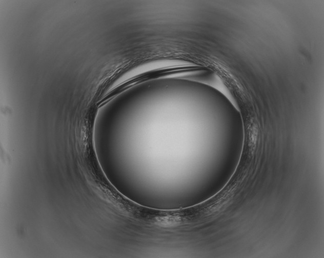 X0000090900362200708061508