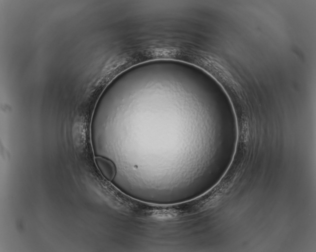 X0000090900363200708061508