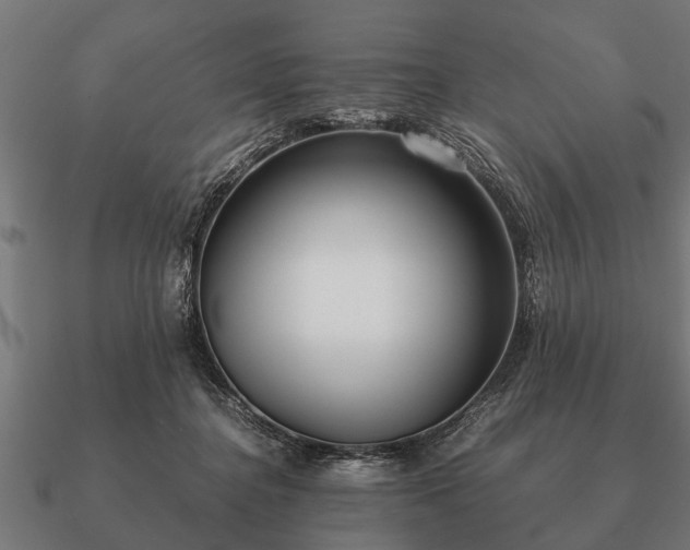 X0000090900364200708061508