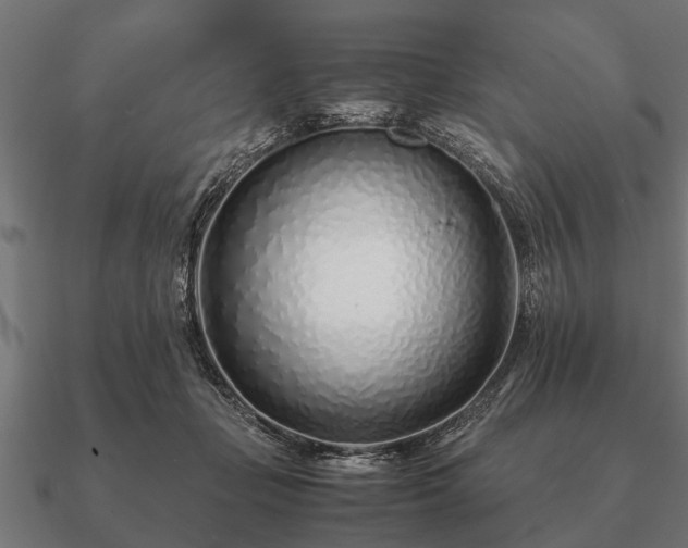 X0000090900365200708061508