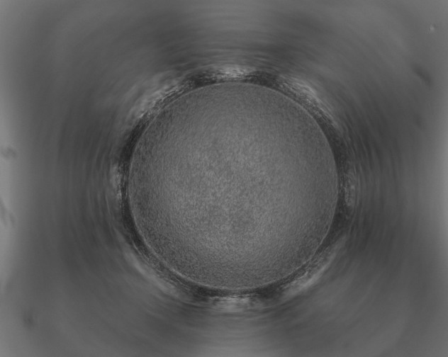 X0000090900366200708061508